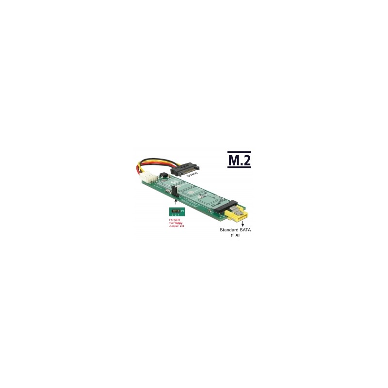 Delock - Adaptér rozhraní - M.2 - M.2 Card