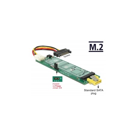 Delock - Adaptér rozhraní - M.2 - M.2 Card