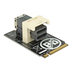 Delock Adapter M.2 Key M SFF-8643 NVMe horizontal 2242 - Adaptér rozhraní - 2.5" - U.2 NVMe - M.2 Card
