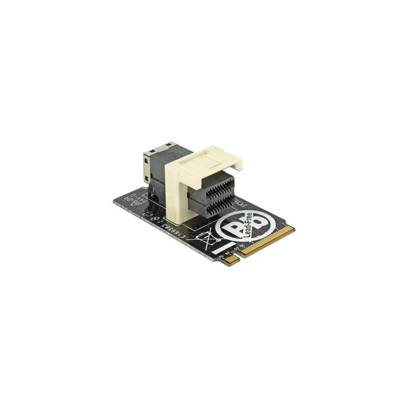 Delock Adapter M.2 Key M SFF-8643 NVMe horizontal 2242 - Adaptér rozhraní - 2.5" - U.2 NVMe - M.2 Card