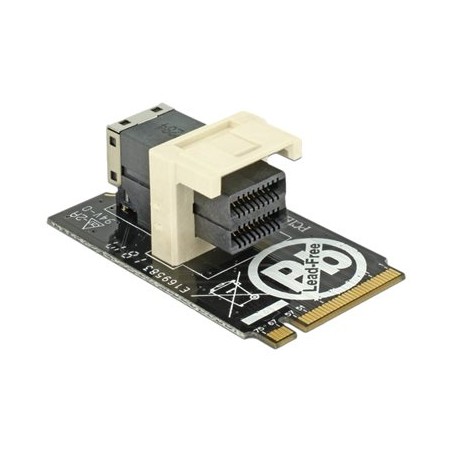 Delock Adapter M.2 Key M SFF-8643 NVMe horizontal 2242 - Adaptér rozhraní - 2.5" - U.2 NVMe - M.2 Card