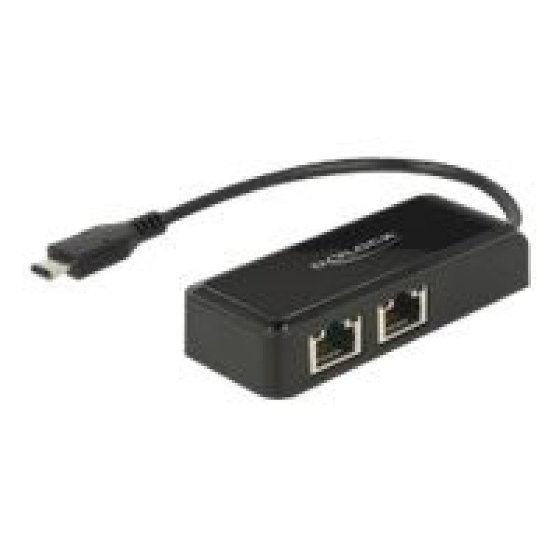 Delock Adapter USB-C 3.1 Gen 1 2 x Gigabit LAN 10/100/1000 Mb/s - Síťový adaptér - USB 3.1 Gen 1 - Gigabit Ethernet x 2 - černá