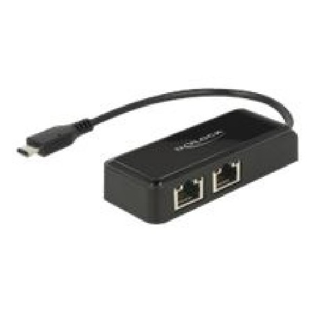 Delock Adapter USB-C 3.1 Gen 1 2 x Gigabit LAN 10/100/1000 Mb/s - Síťový adaptér - USB 3.1 Gen 1 - Gigabit Ethernet x 2 - černá