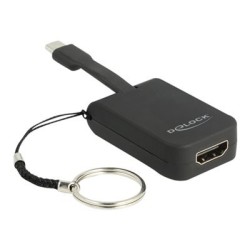 Delock - Externí video adaptér - RTD2171U - USB-C - HDMI - cerná