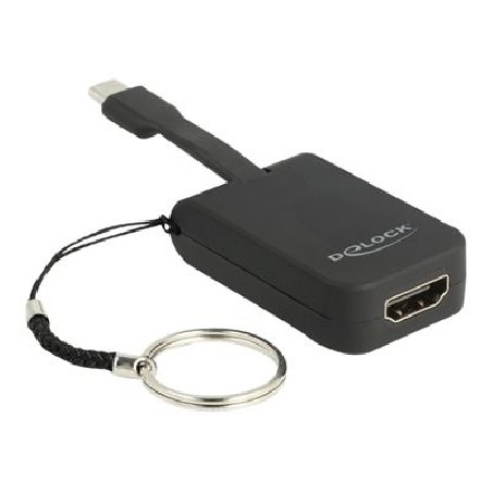 Delock - Externí video adaptér - RTD2171U - USB-C - HDMI - cerná