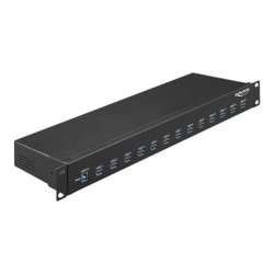 Delock - Rozbočovač - 13 x USB 3.1 Gen 1 - Lze montovat do rozvaděče