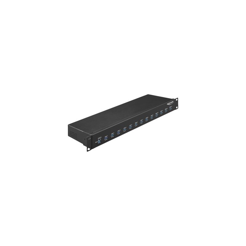 Delock - Rozbočovač - 13 x USB 3.1 Gen 1 - Lze montovat do rozvaděče