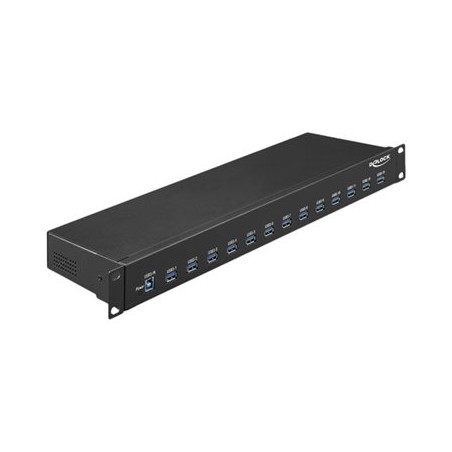 Delock - Rozbočovač - 13 x USB 3.1 Gen 1 - Lze montovat do rozvaděče