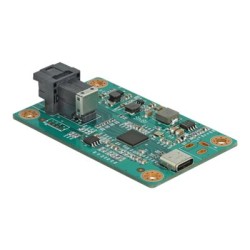 Delock Converter USB Type-C to SFF-8643 - Adaptér rozhraní - U.2 NVMe - USB 3.2 (Gen 2)