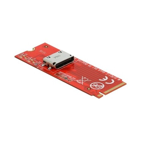 Delock - Adaptér rozhraní - M.2 - M.2 NVMe Card - PCIe 4.0 x4