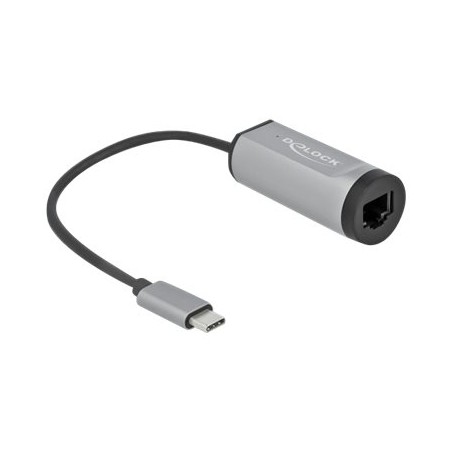Delock - Síťový adaptér - USB-C 3.2 Gen 1 / Thunderbolt 3 - Gigabit Ethernet x 1 - šedá