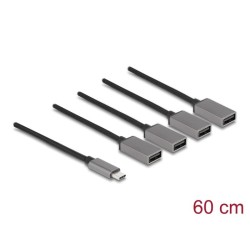 Delock - Rozbocovac - 4 x USB 2.0 - desktop 64210