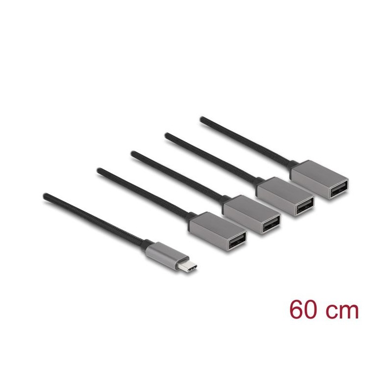 Delock - Rozbocovac - 4 x USB 2.0 - desktop 64210