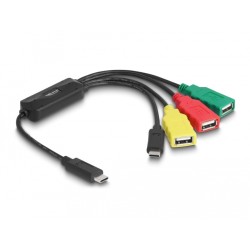 Delock - Rozbocovac - 4 x USB 2.0 - desktop - AC