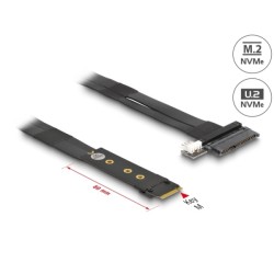 Delock - Adaptér rozhraní - U.2 NVMe - M.2 Card