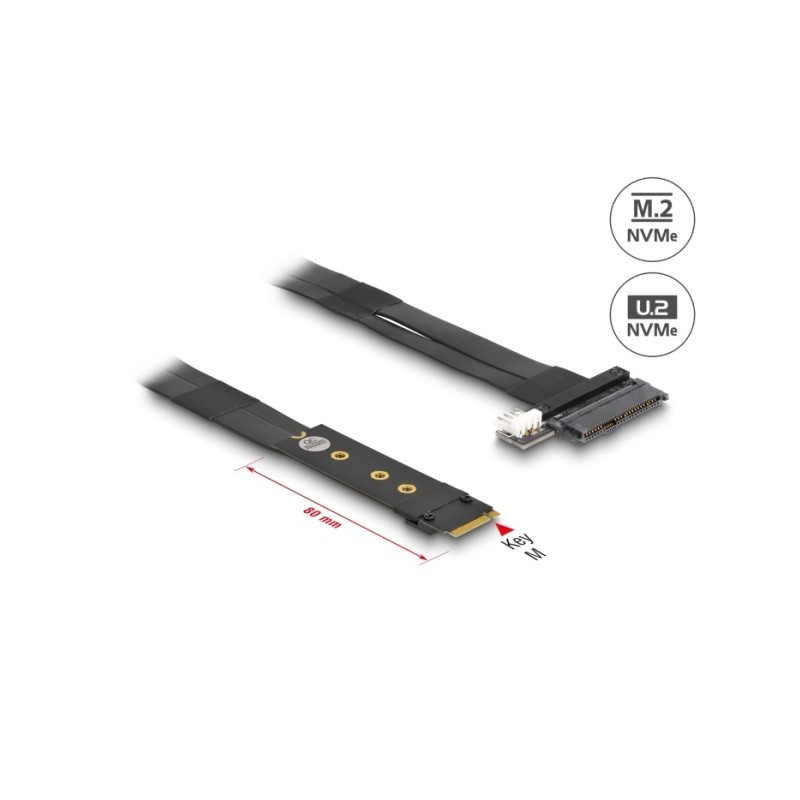Delock - Adaptér rozhraní - U.2 NVMe - M.2 Card