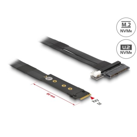 Delock - Adaptér rozhraní - U.2 NVMe - M.2 Card