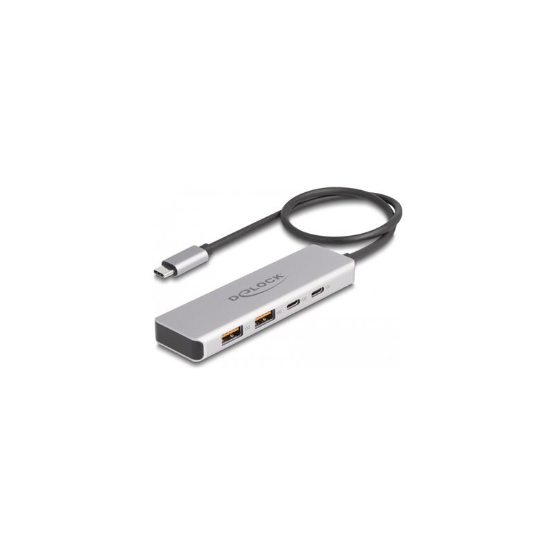 Delock - Rozbocovac - 10 Gbps, s pripojovacím kabelem 35 cm - 2 x USB 3.1 Gen 2 + 2 x USB-C - desktop