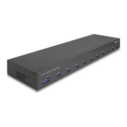 Delock - Rozbocovac - 19", industry, 10 Gbps - 10 x USB 3.2 Gen 2 - desktop, Lze montovat do rozvadece