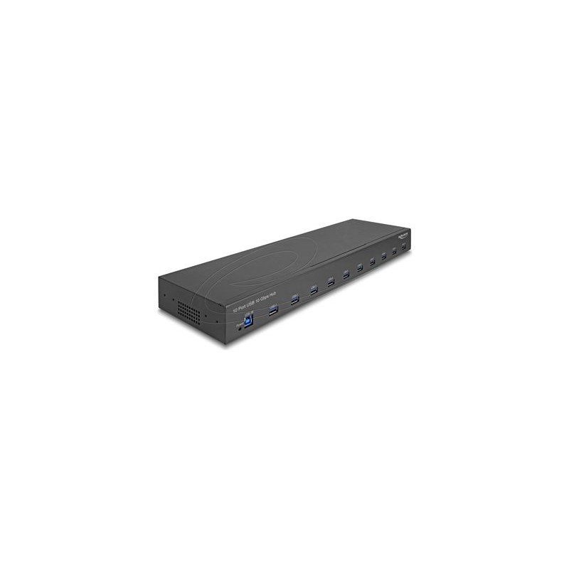 Delock - Rozbocovac - 19", industry, 10 Gbps - 10 x USB 3.2 Gen 2 - desktop, Lze montovat do rozvadece