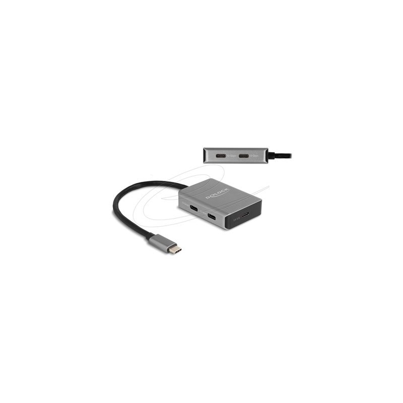 Delock - Rozbocovac - 10 Gbps, s konektorem USB-C - 4 x USB-C 3.2 Gen 2 - desktop