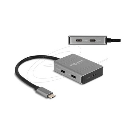 Delock - Rozbocovac - 10 Gbps, s konektorem USB-C - 4 x USB-C 3.2 Gen 2 - desktop