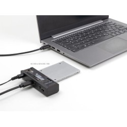 Delock - Radic úložište - 2.5", 3.5", M.2 - M.2 Card (PCIe NVMe & SATA) / SATA SSD - USB-C 3.2 (Gen 2x1) - cerná