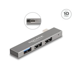 Delock - Rozbocovac - slim, 10 Gbps, with USB Type-C - 1 x USB 3.2 Gen 2 + 2 x USB 2.0 - stick