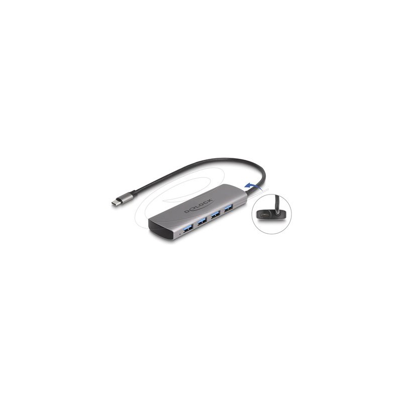 Delock - Rozbocovac - 10 Gbps, with USB Type-C connector and additional power port - 4 x USB - desktop