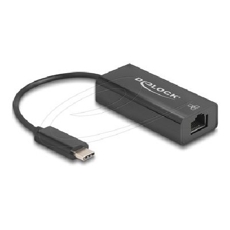 Delock - Sítový adaptér - USB-C - 10/100 Ethernet x 1 - cerná