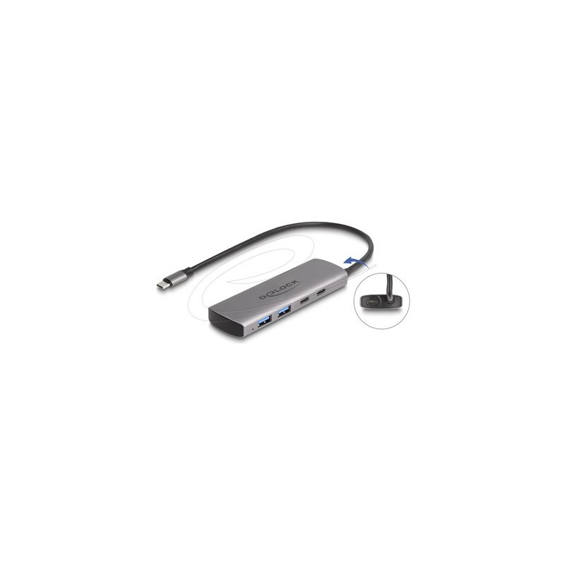 Delock - Rozbocovac - 10 Gbps, with USB Type-C connector and additional power port - 2 x USB-C + 2 x USB - desktop