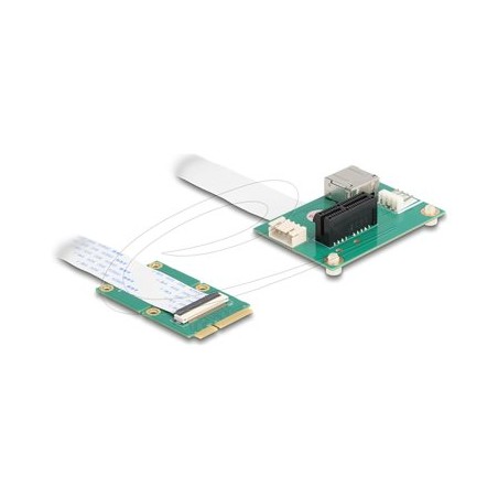 Delock - Adaptér rozhraní - s flexibilním kabelem - PCIe 1.1 / USB 2.0 - PCIe Mini Card