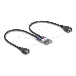 Delock - USB adaptér - PCIe Mini Card - USB 2.0 x 2