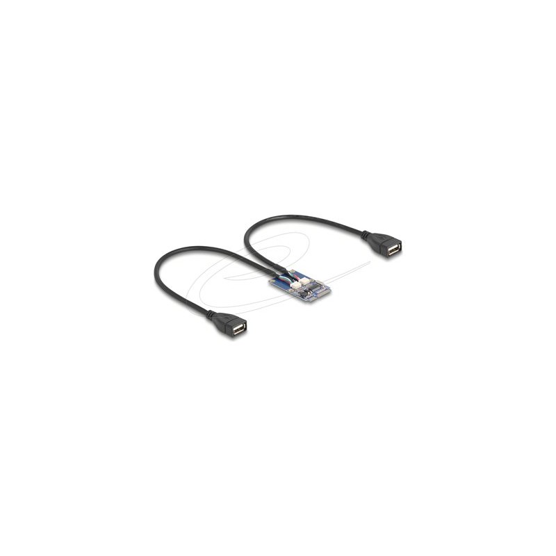 Delock - USB adaptér - PCIe Mini Card - USB 2.0 x 2