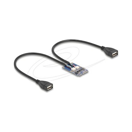 Delock - USB adaptér - PCIe Mini Card - USB 2.0 x 2