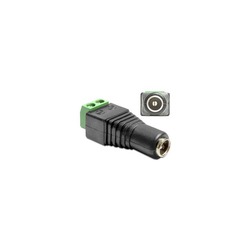 Delock Adapter DC 2.1 x 5.5 mm female Terminal Block - Adaptér napájení - svorkovnice se 2 piny (F) do DC jack 2.1 mm (F)