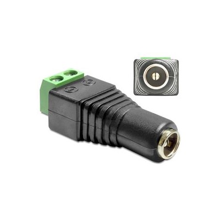 Delock Adapter DC 2.1 x 5.5 mm female Terminal Block - Adaptér napájení - svorkovnice se 2 piny (F) do DC jack 2.1 mm (F)