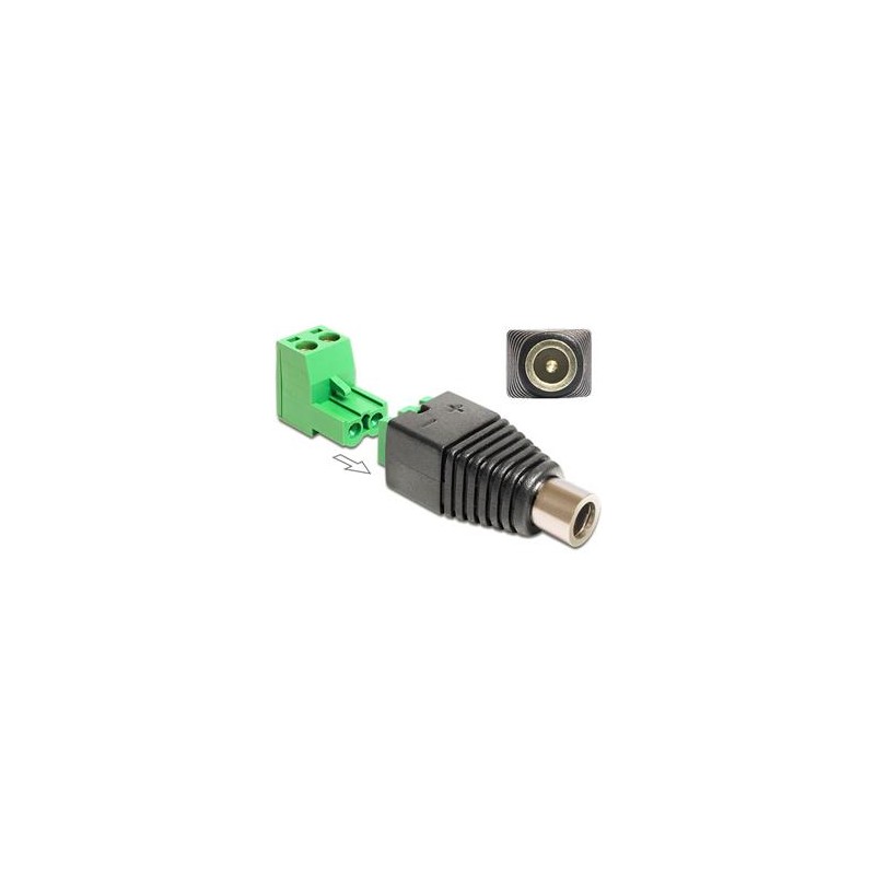 Delock Adapter DC 2.1 x 5.5 mm male Terminal Block - Adaptér napájení - svorkovnice se 2 piny (F) do DC jack 2.1 mm (F)