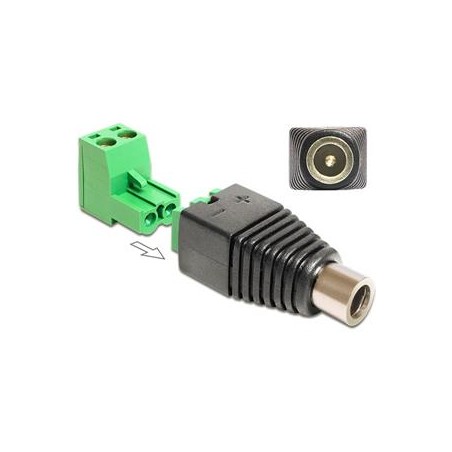Delock Adapter DC 2.1 x 5.5 mm male Terminal Block - Adaptér napájení - svorkovnice se 2 piny (F) do DC jack 2.1 mm (F)