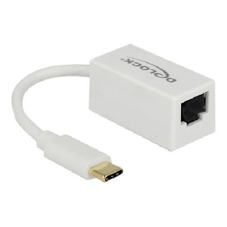 Delock - Síťový adaptér - USB 3.1 Gen 1 - Gigabit Ethernet x 1 - bílá 65906