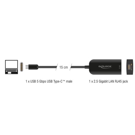 Delock - Sítový adaptér - USB 3.0 - 2.5GBase-T - cerná 66046