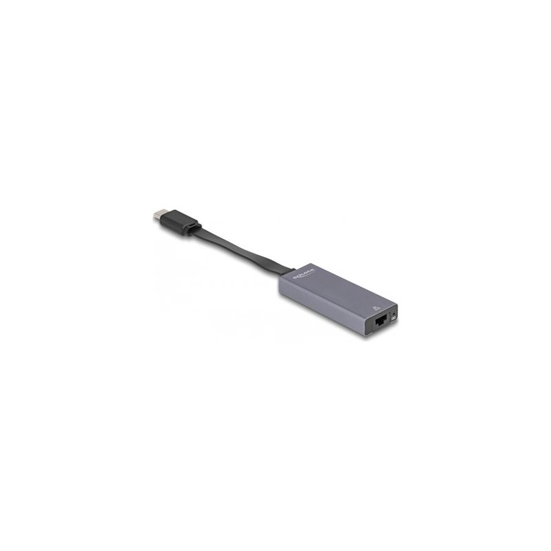 Delock - Sítový adaptér - USB-C 3.2 Gen 1 - 2.5GBase-T x 1 - antracit