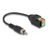 Delock - Audio adaptér - svorkovnice se 2 piny do RCA s piny (male) - 15 cm - cerná