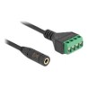 Delock - Audio adaptér - mini jack (F) do blok svorkovnice se 4 kolíky - 20 cm - roztec 2,54 mm - cerná