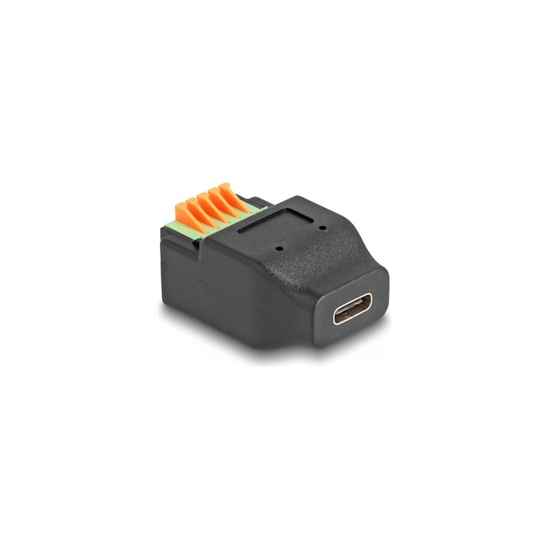 Delock - USB adaptér - terminál s 5 piny do 24 pin USB-C (F) - USB 2.0 - cerná