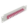 Delock - Propojovací panel - LC Duplex MM X 12 - šedá - 1U - 10"