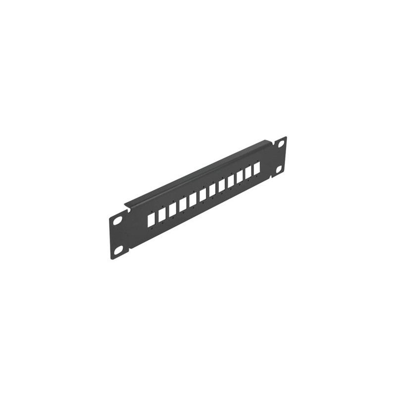 Delock - Patch panel (záslepný) - cerná - 1U - 10" - 12 portu