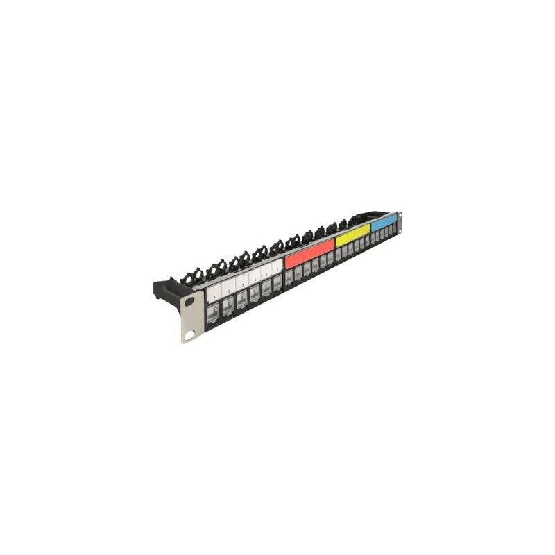 Delock - Záslepný patch panel keystone - montáž na skříňku - černá - 1U - 19" - 24 porty