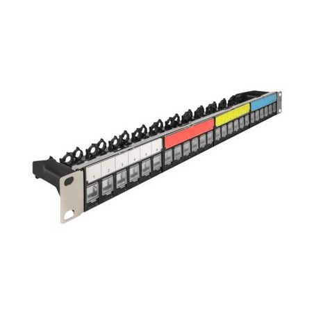 Delock - Záslepný patch panel keystone - montáž na skříňku - černá - 1U - 19" - 24 porty