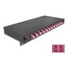 Delock - Optická vana - OM4, kompletne sestavená - prední - montáž do racku - LC Duplex x12 - cerná - 1U - 19"
